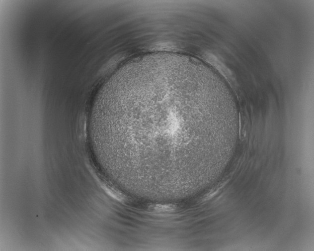 X0000074970157200609221832