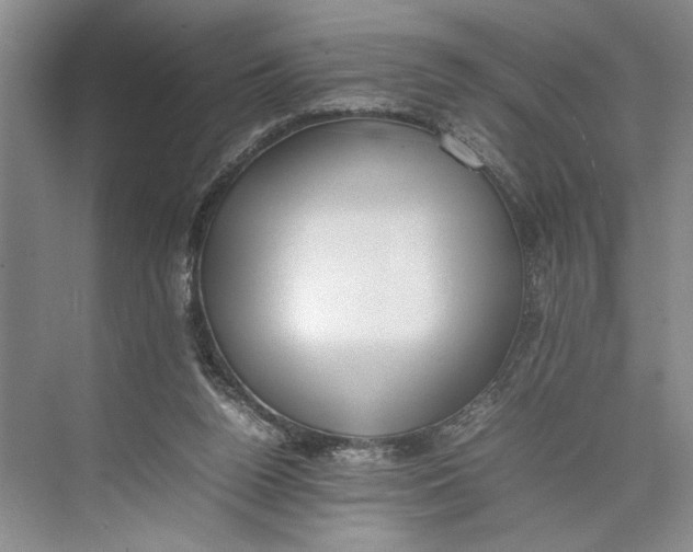 X0000074970160200609221832