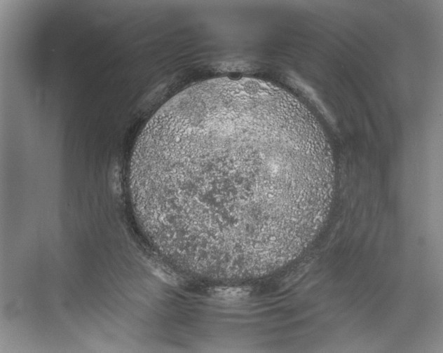 X0000074970161200609221832