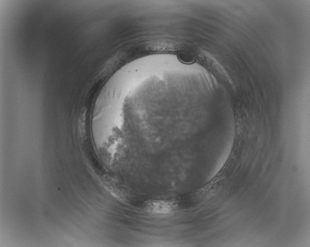 X0000074970163200609221832