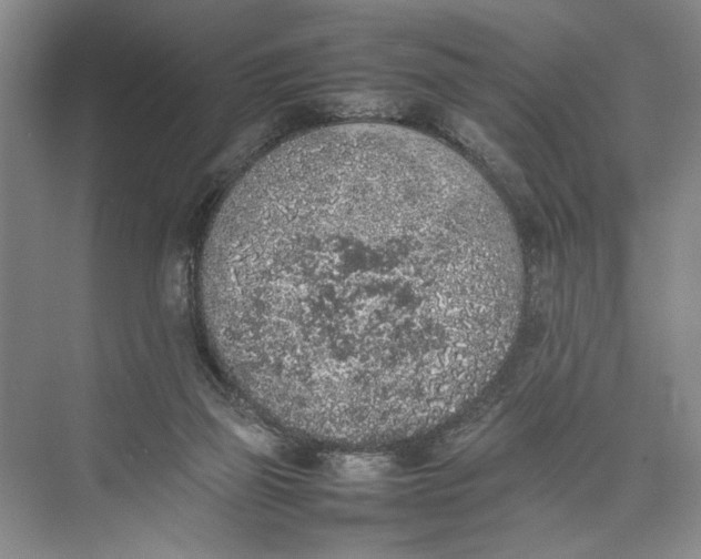 X0000074970165200609221832