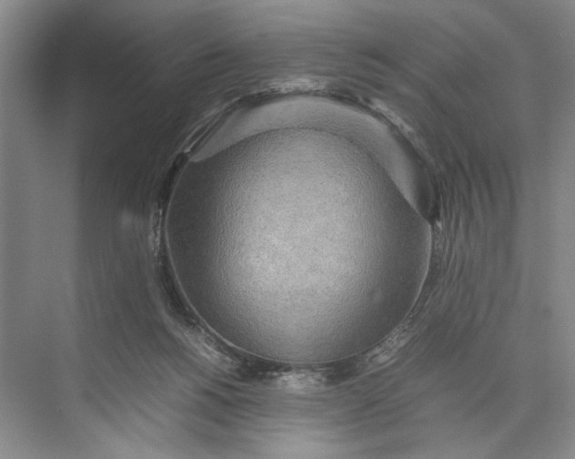 X0000074970168200609221832