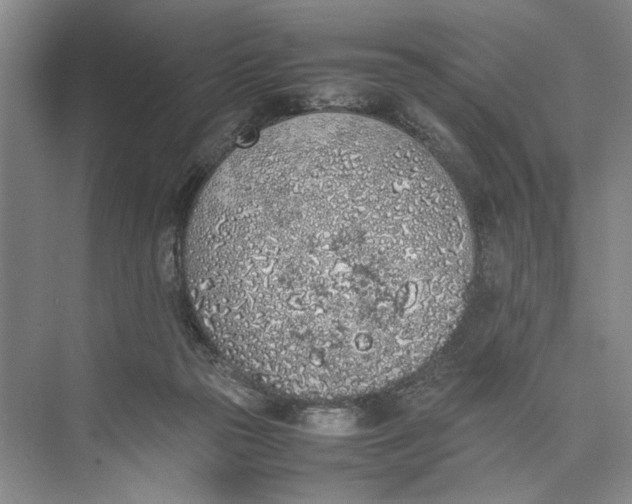 X0000074970169200609221832