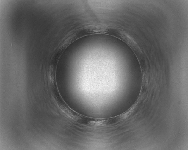 X0000074970170200609221832