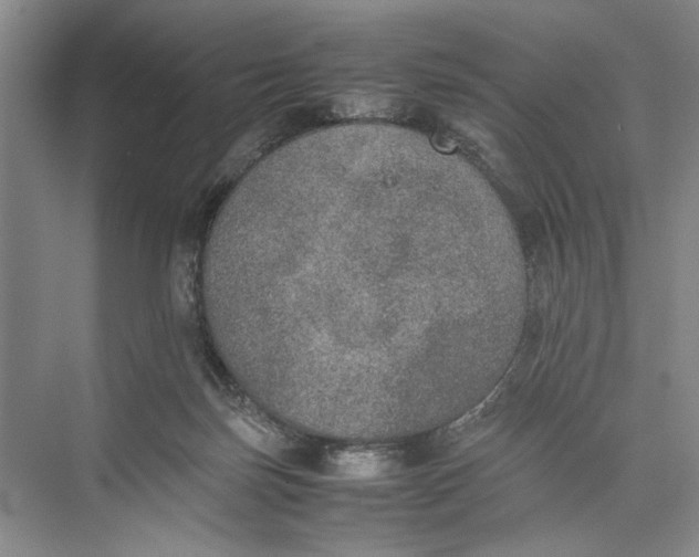 X0000074970171200609221832