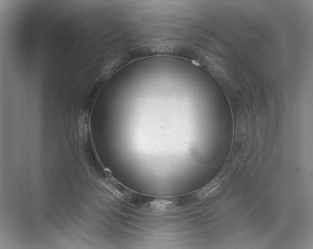 X0000074970172200609221832