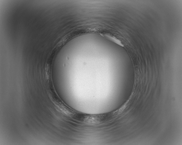 X0000074970174200609221832