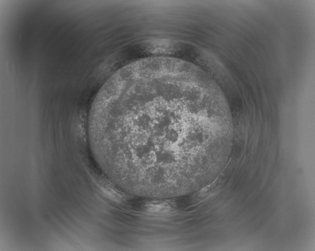 X0000074970175200609221832