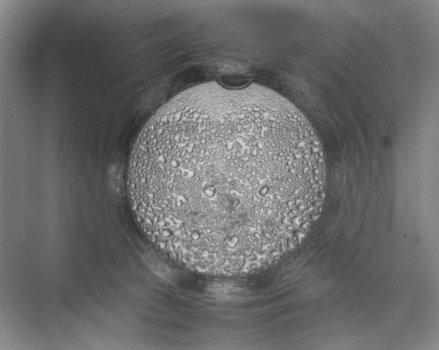 X0000074970177200609221832