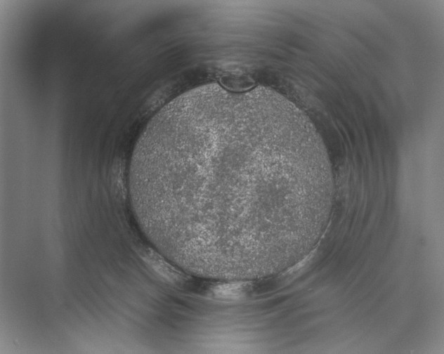 X0000074970178200609221832