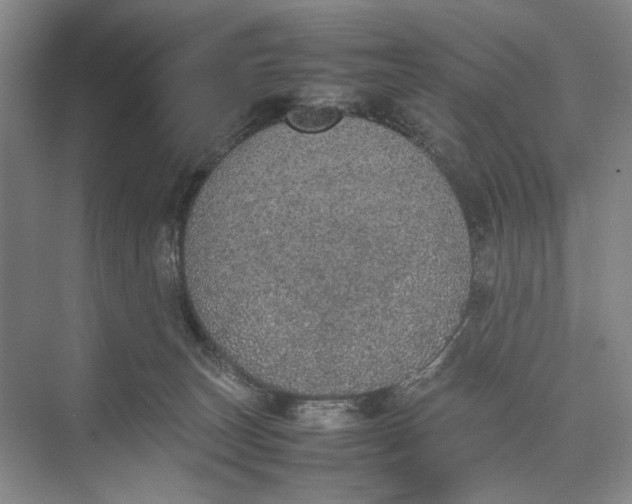 X0000074970179200609221832