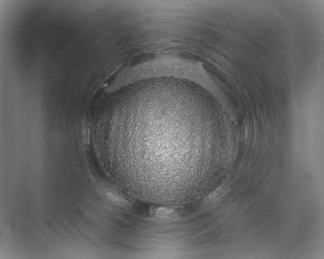 X0000074970180200609221832