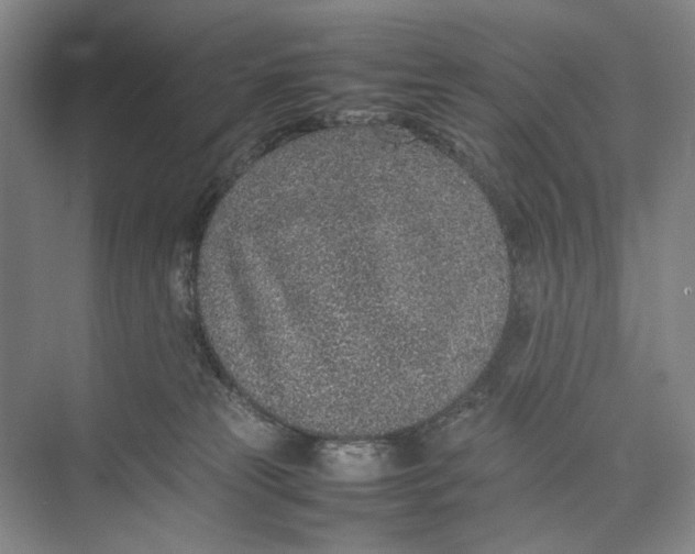 X0000074970181200609221832