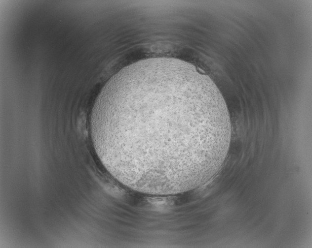 X0000074970187200609221832