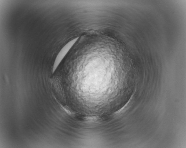 X0000074970192200609221833