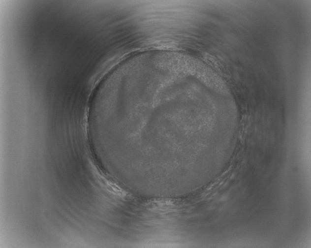 X0000074970194200609221832