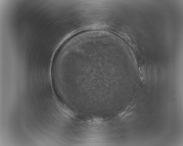 X0000074970196200609221832