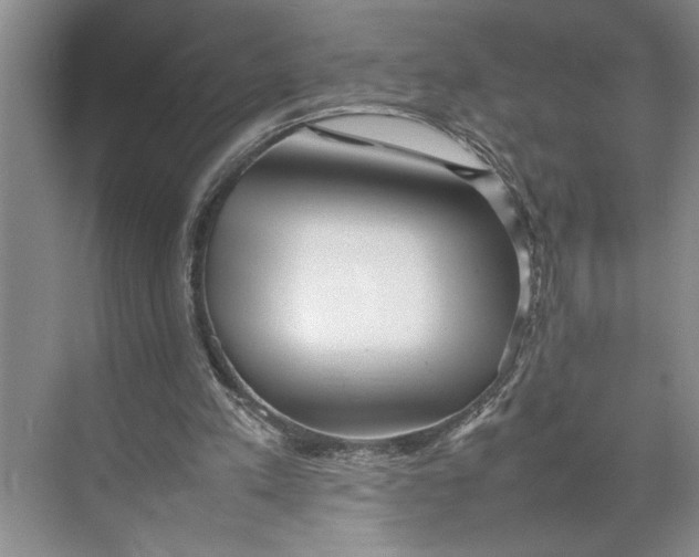 X0000074970197200609221832