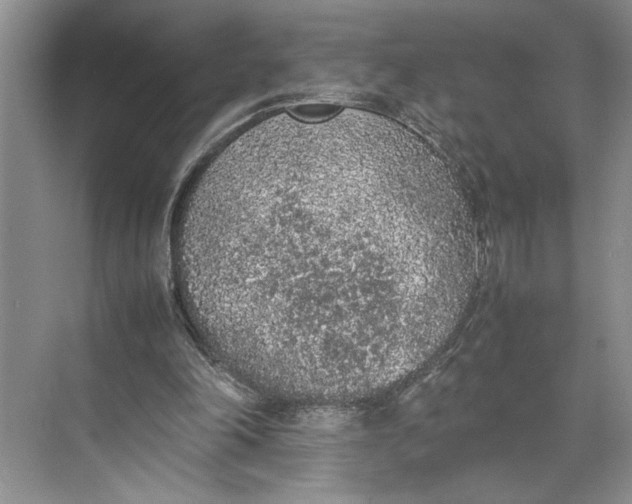 X0000074970198200609221832