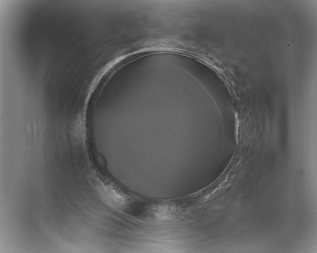 X0000074970200200609221832