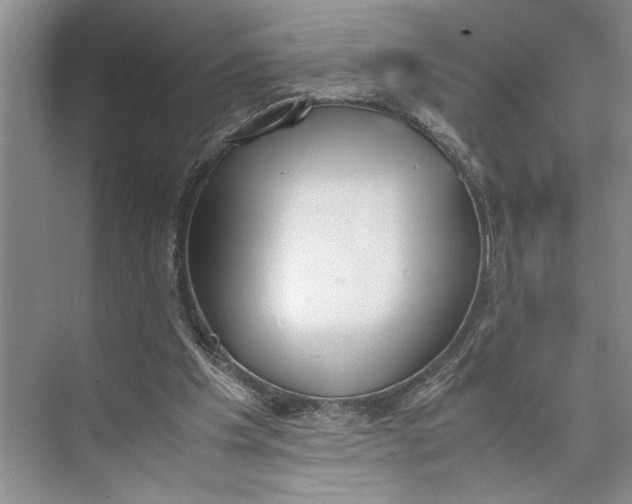 X0000074970201200609221832