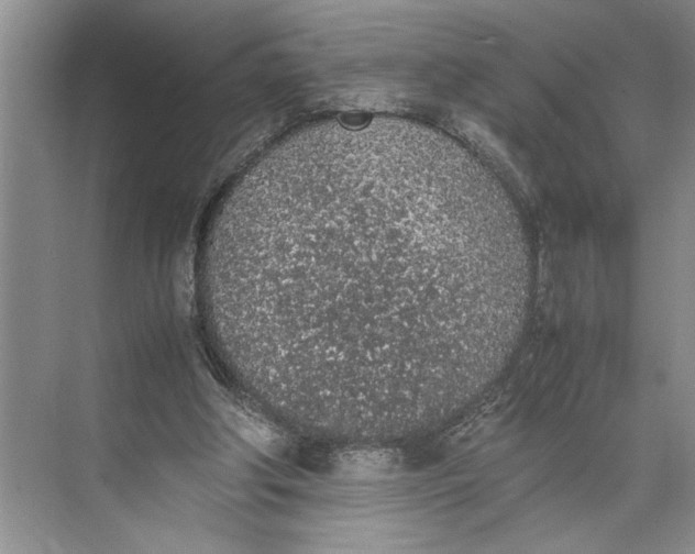 X0000074970202200609221832