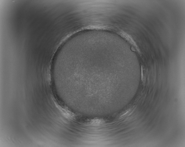 X0000074970204200609221832