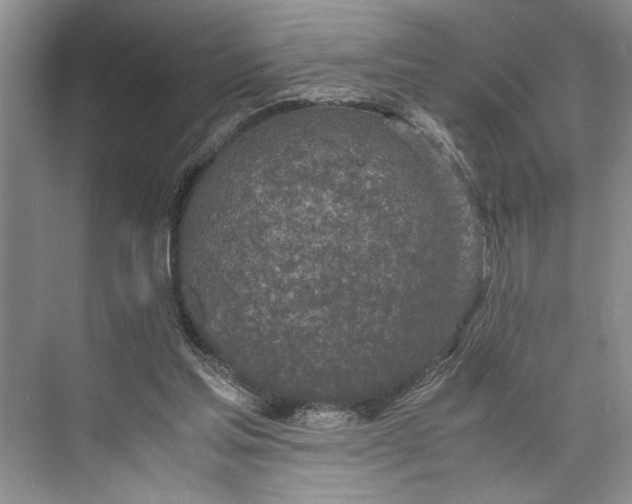 X0000074970205200609221832