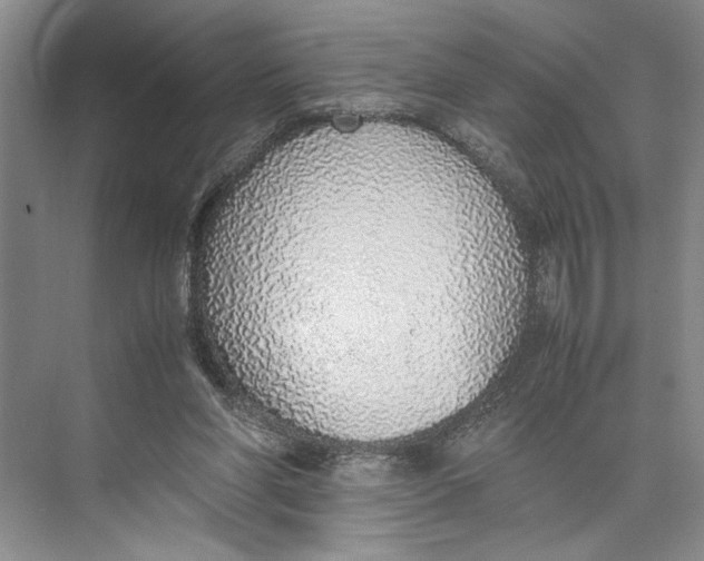 X0000074970206200609221831