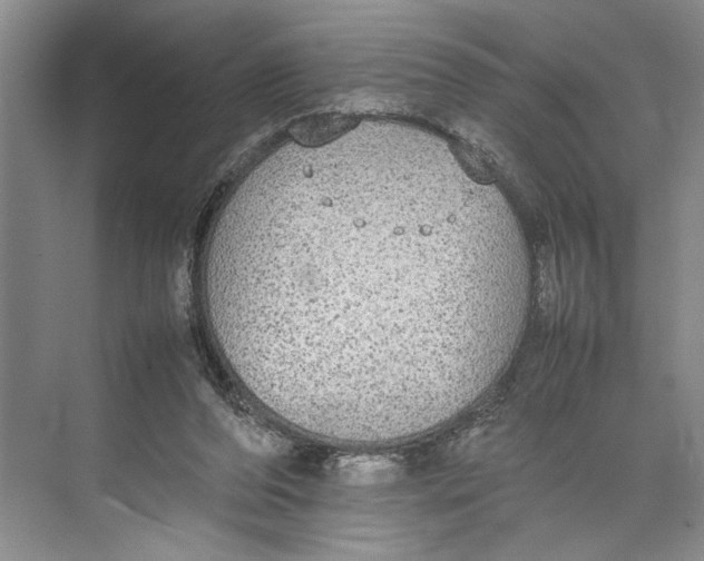 X0000074970208200609221831