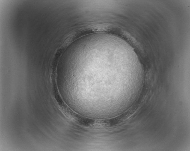 X0000074970209200609221831