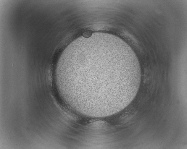 X0000074970210200609221831