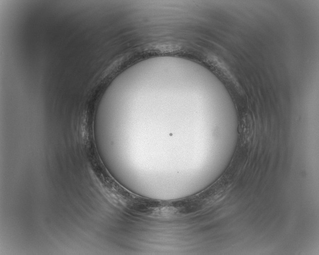 X0000074970212200609221831