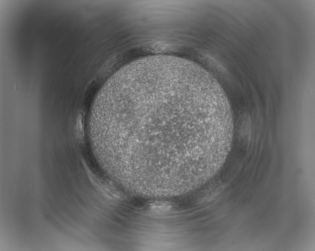 X0000074970214200609221831