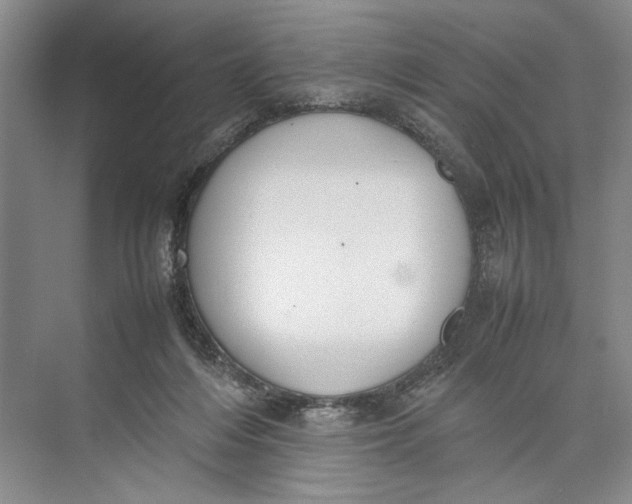 X0000074970216200609221831