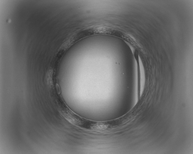 X0000074970217200609221831