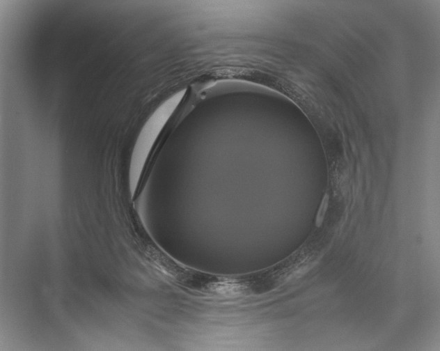 X0000074970219200609221831