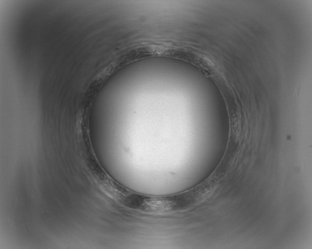 X0000074970221200609221831