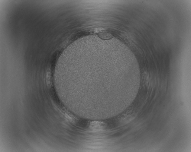 X0000074970222200609221831