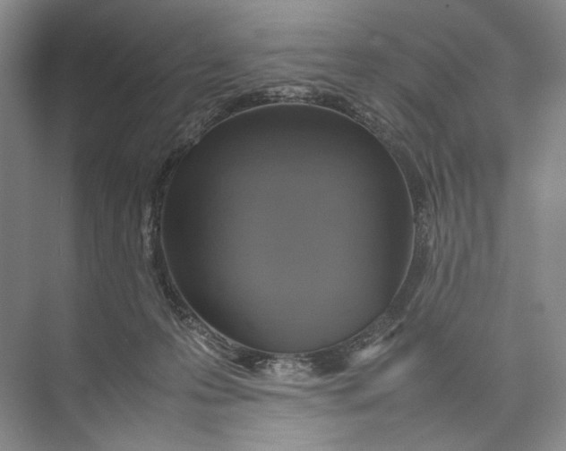 X0000074970223200609221831