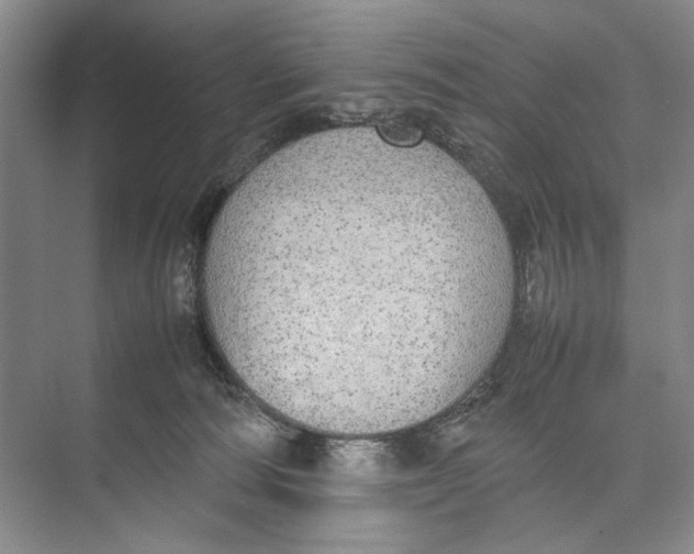 X0000074970226200609221831