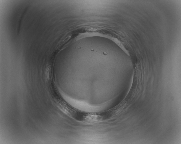 X0000074970227200609221831