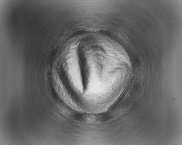 X0000074970229200609221831