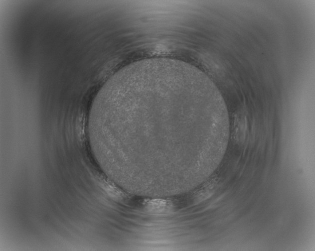 X0000074970230200609221831