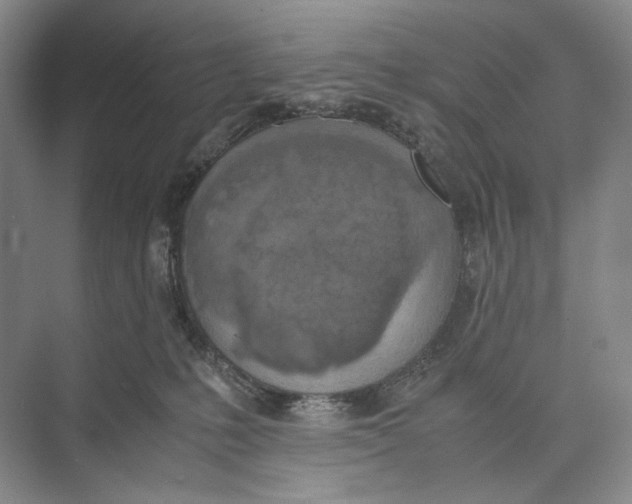 X0000074970231200609221831