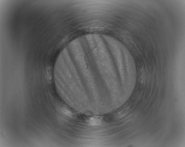 X0000074970232200609221831