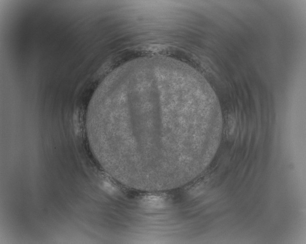 X0000074970236200609221831