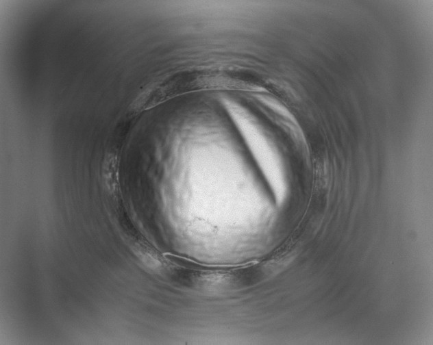 X0000074970237200609221831