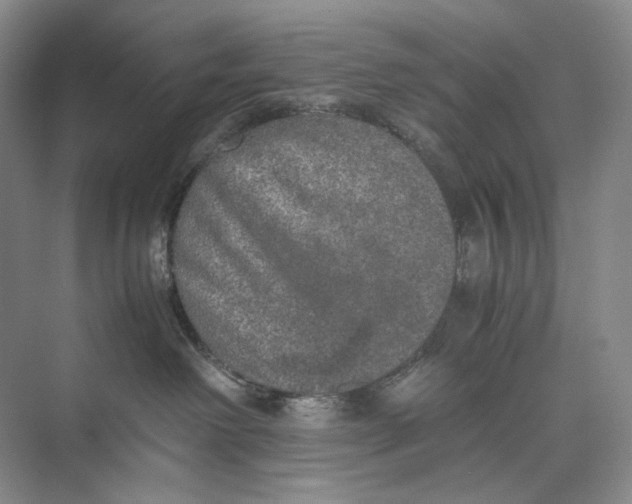 X0000074970238200609221831