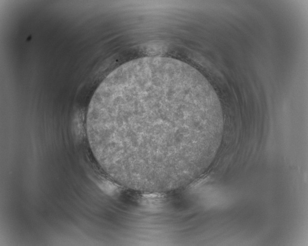 X0000074970240200609221831